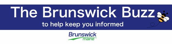 Town Logo and Newsletter name