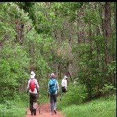 Perimeter Trail Picutre