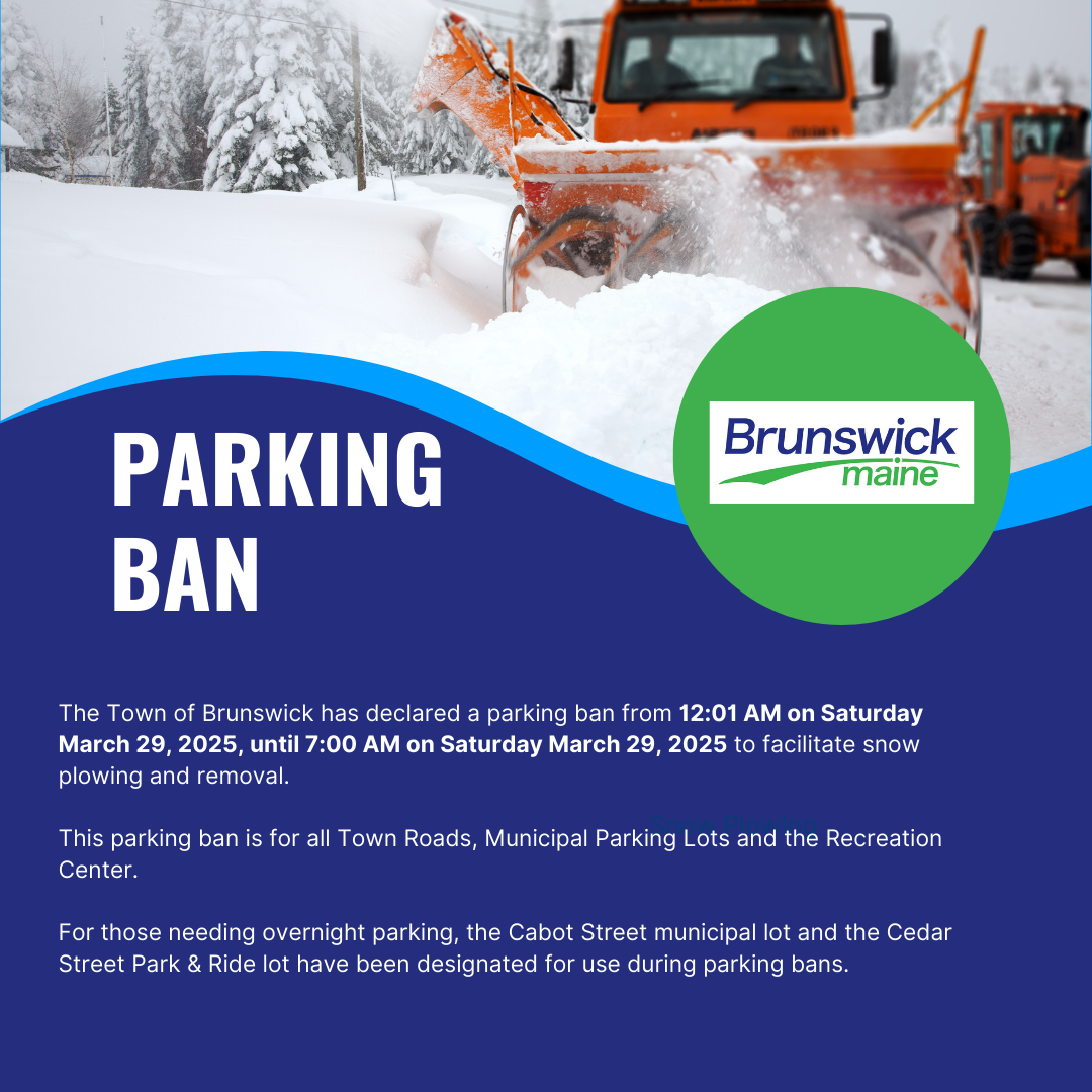 Parking Ban (3)