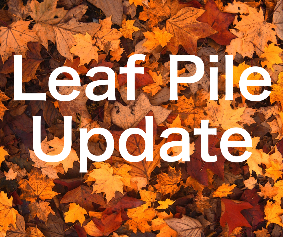 Leaf Pile Update FB
