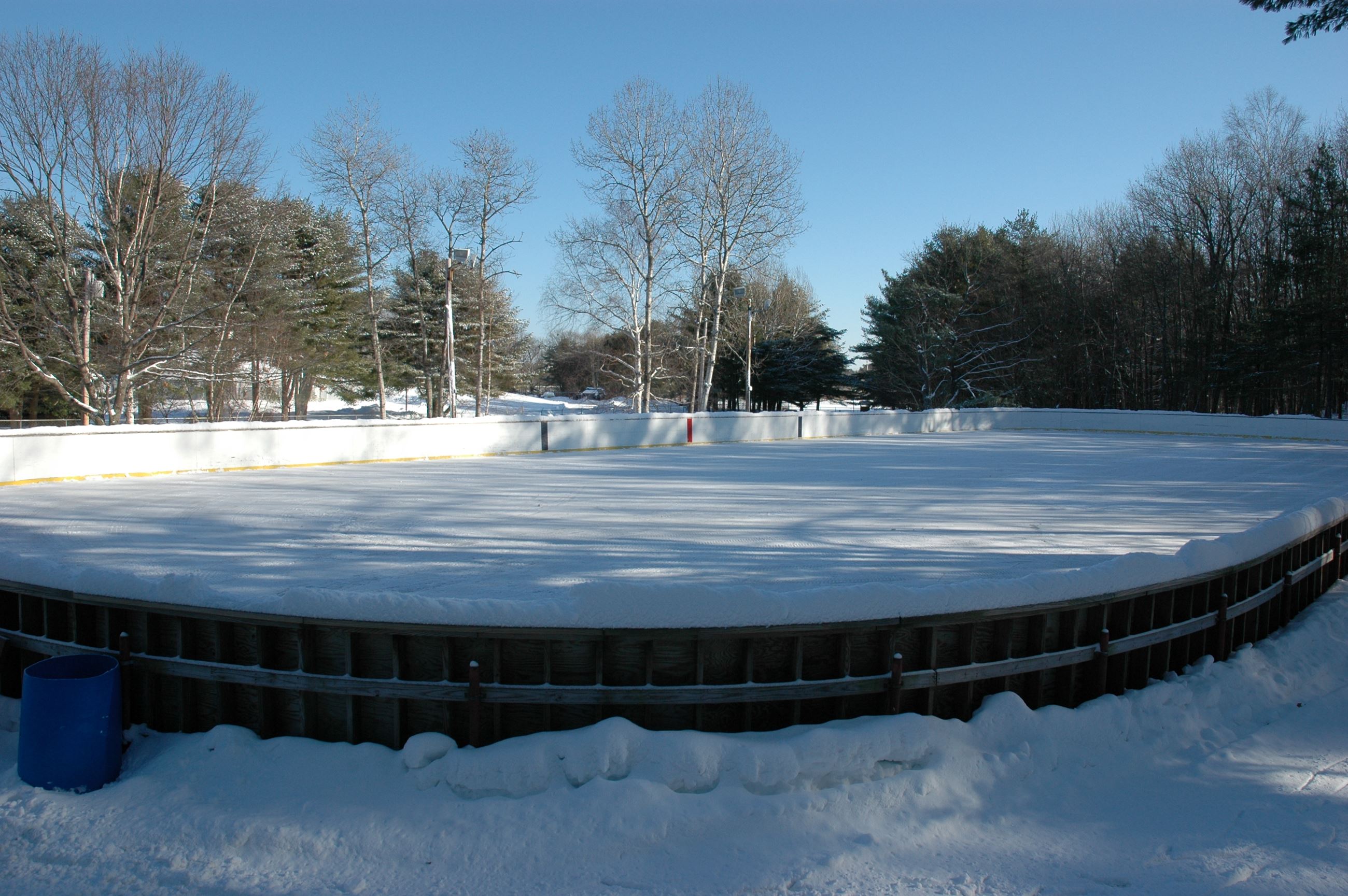 Lishness Rink 