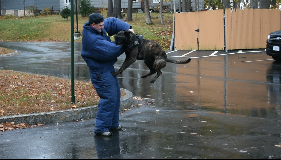 Screenshot 2021-01-14 050022